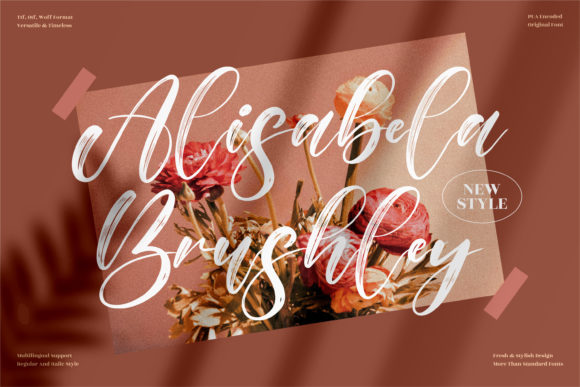 Alisabela Brushley: The Script Handwritten Font for Elegant Web Design