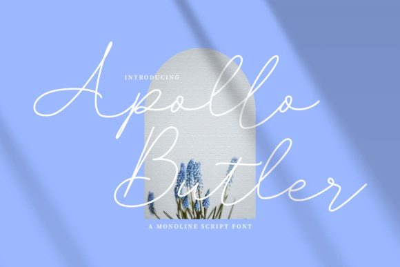 Apollo Butler: The Elegant Script Font for Boutique Branding