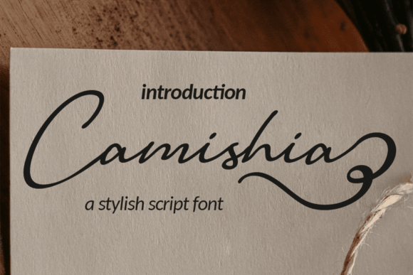 Camishia Script Font Review for Modern Campaigns