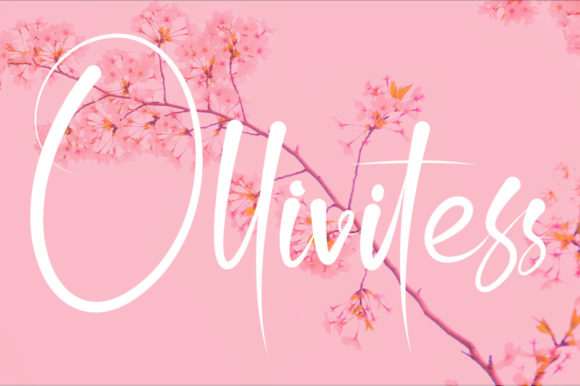 Ollivitess Script Handwritten Font for Elegant Branding