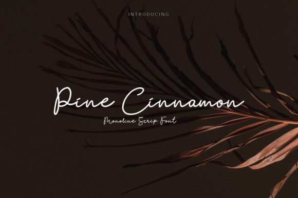 Pine Cinnamon: The Organic Hand-Drawn Script Font for Authentic Branding